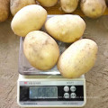 2021 New Crop Export Natural Chinese Fresh Potato Sweet Potato For Wholesale